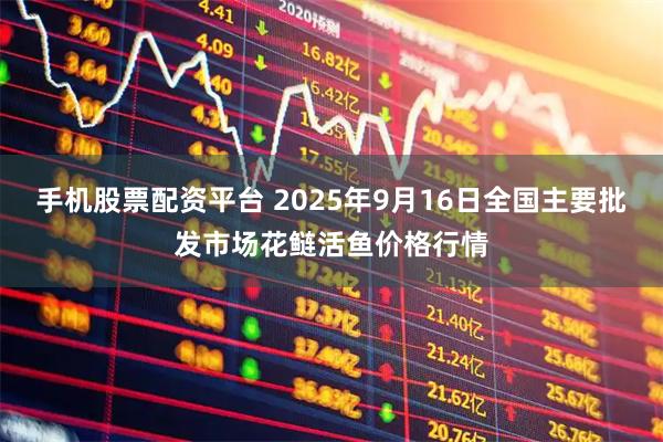 手机股票配资平台 2025年9月16日全国主要批发市场花鲢活鱼价格行情