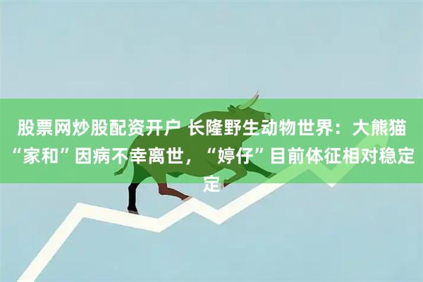 股票网炒股配资开户 长隆野生动物世界：大熊猫“家和”因病不幸离世，“婷仔”目前体征相对稳定